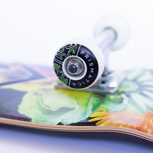 Prismatica Atrium 7.75" Complete Skateboard